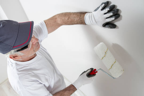 Best Real Estate Mold Inspection  in Langley, SC