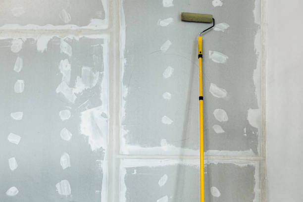 Best Comprehensive Air Testing for Mold Contaminants  in Langley, SC