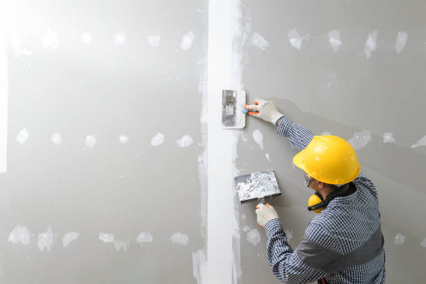 Professional Mold Removal in Langley, SC