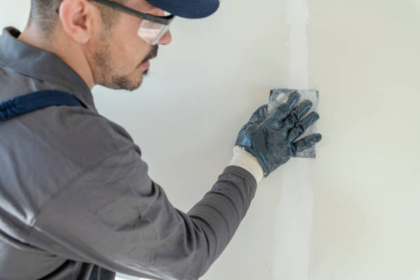 Best Mold Odor Removal Services  in Langley, SC