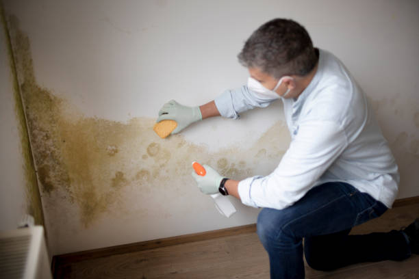 Dehumidification Services in Langley, SC