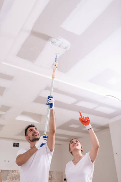 Mold Documentation for Insurance Claims in Langley, SC