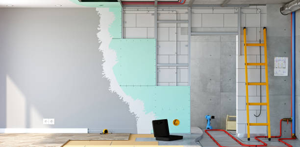 Best Air Quality Testing for Mold Spores  in Langley, SC