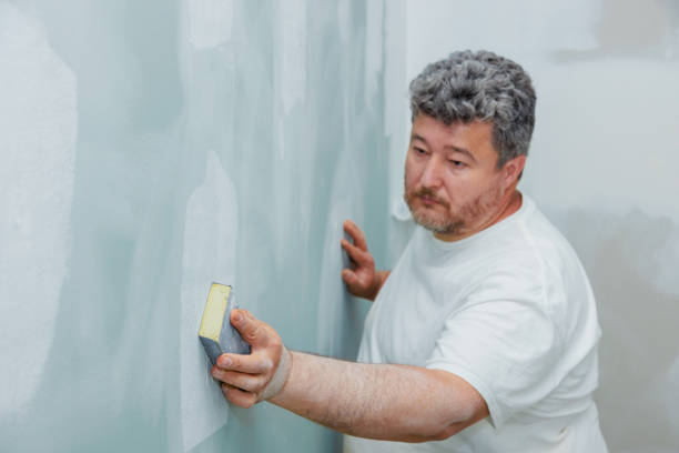  Langley, SC Mold Removal Pros