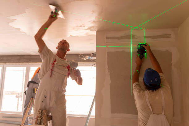 Best Residential Mold Inspection & Testing  in Langley, SC